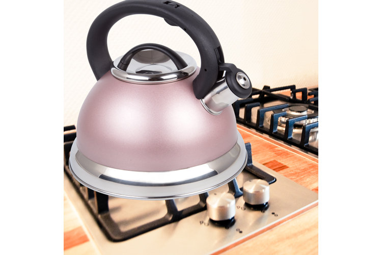 Wayfair kettles hotsell